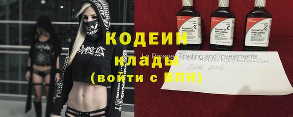 дживик Абинск