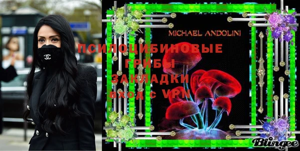 дживик Абинск