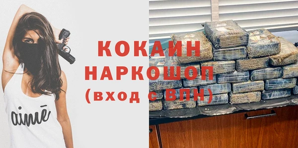 дживик Абинск
